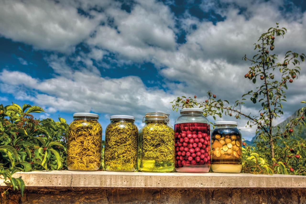 Willa Tourist Farm Kranjc Kobarid Zewnętrze zdjęcie